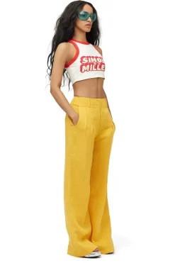 Dibby Swim Tank
