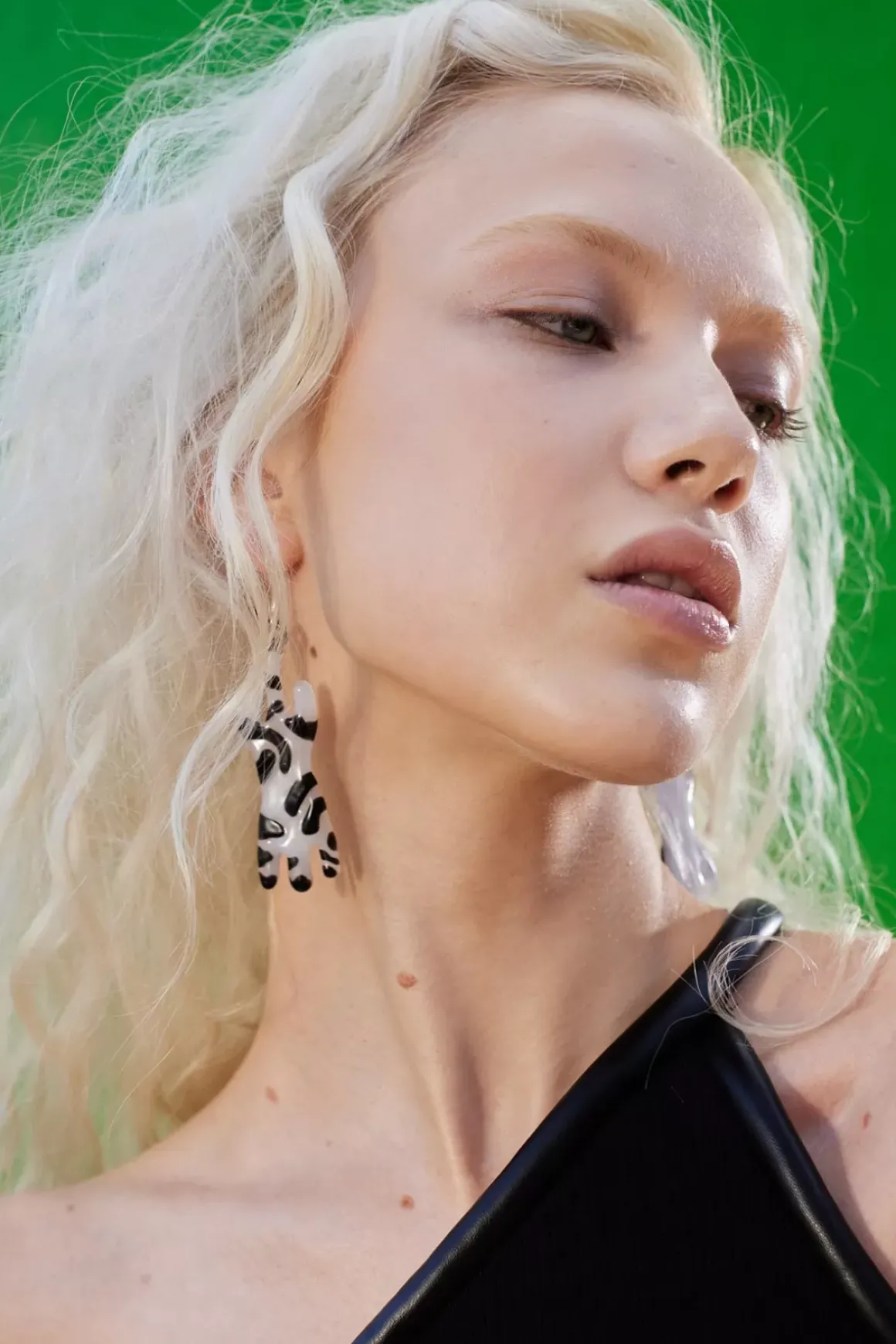 Glass Zebra Earrings